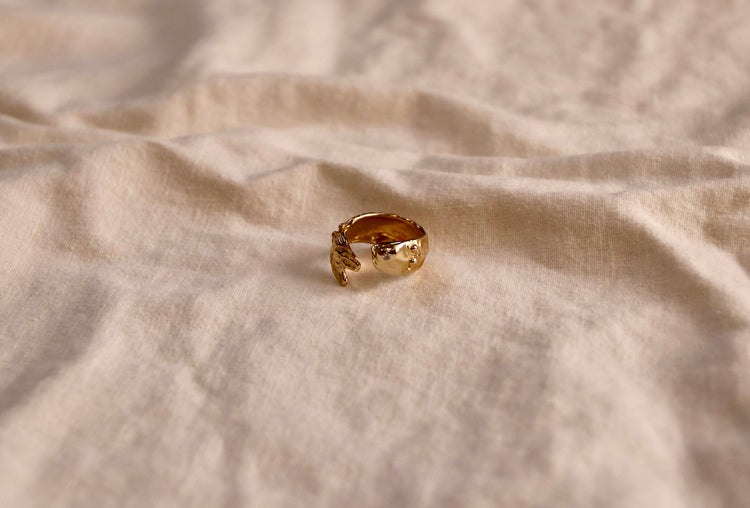 RINGS
